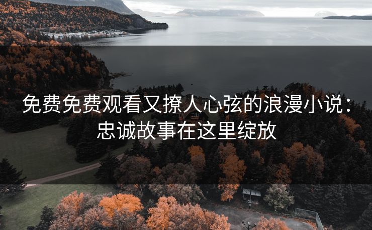 免费免费观看又撩人心弦的浪漫小说：忠诚故事在这里绽放