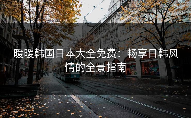 暖暖韩国日本大全免费：畅享日韩风情的全景指南