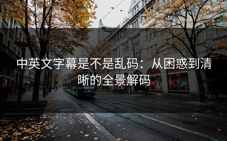 中英文字幕是不是乱码：从困惑到清晰的全景解码