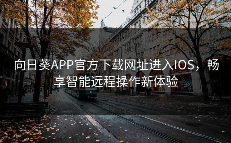 向日葵APP官方下载网址进入IOS，畅享智能远程操作新体验