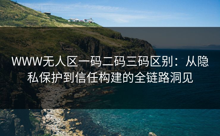 WWW无人区一码二码三码区别：从隐私保护到信任构建的全链路洞见