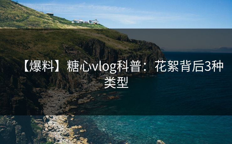 【爆料】糖心vlog科普:花絮背后3种类型 【爆料】糖心vlog科普:花絮背后3种类型