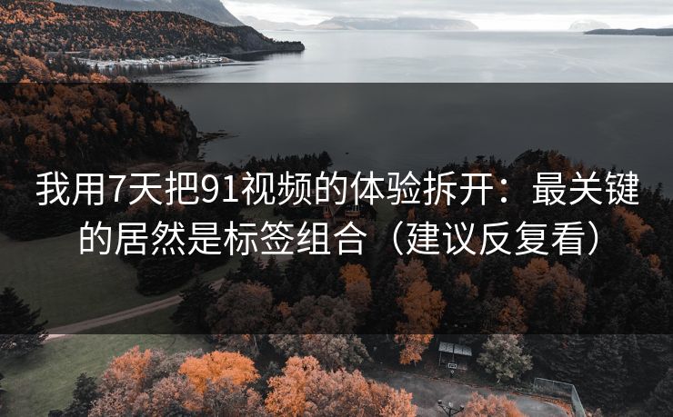 我用7天把91视频的体验拆开:最关键的居然是标签组合(建议反复看) 我用7天把91视频的体验拆开:最关键的居然是标签组合(建议反复看)