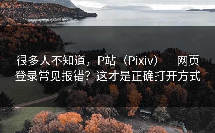 很多人不知道,P站(Pixiv)|网页登录常见报错?这才是正确打开方式 很多人不知道,P站(Pixiv)|网页登录常见报错?这才是正确打开方式